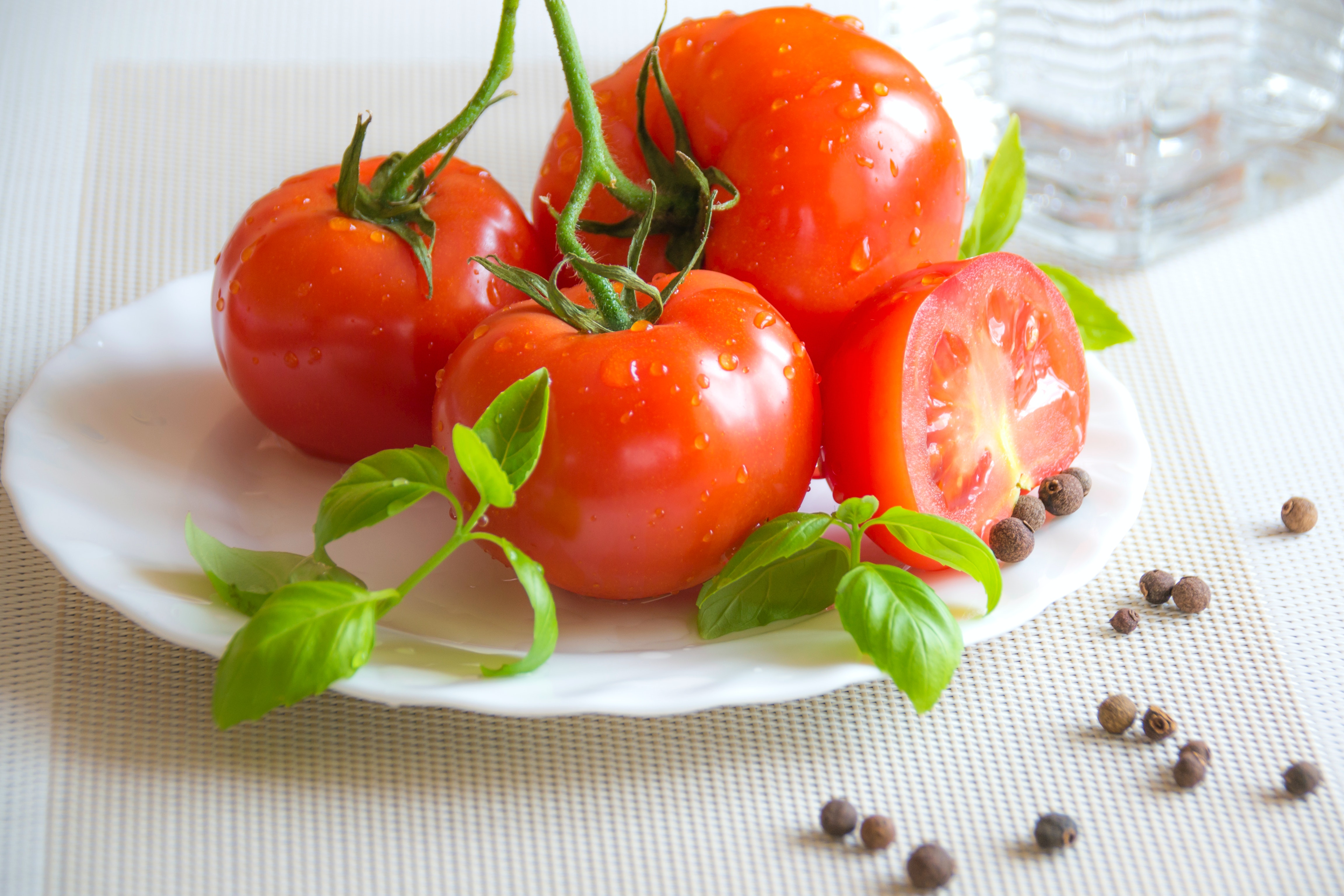 بذور الطماطم